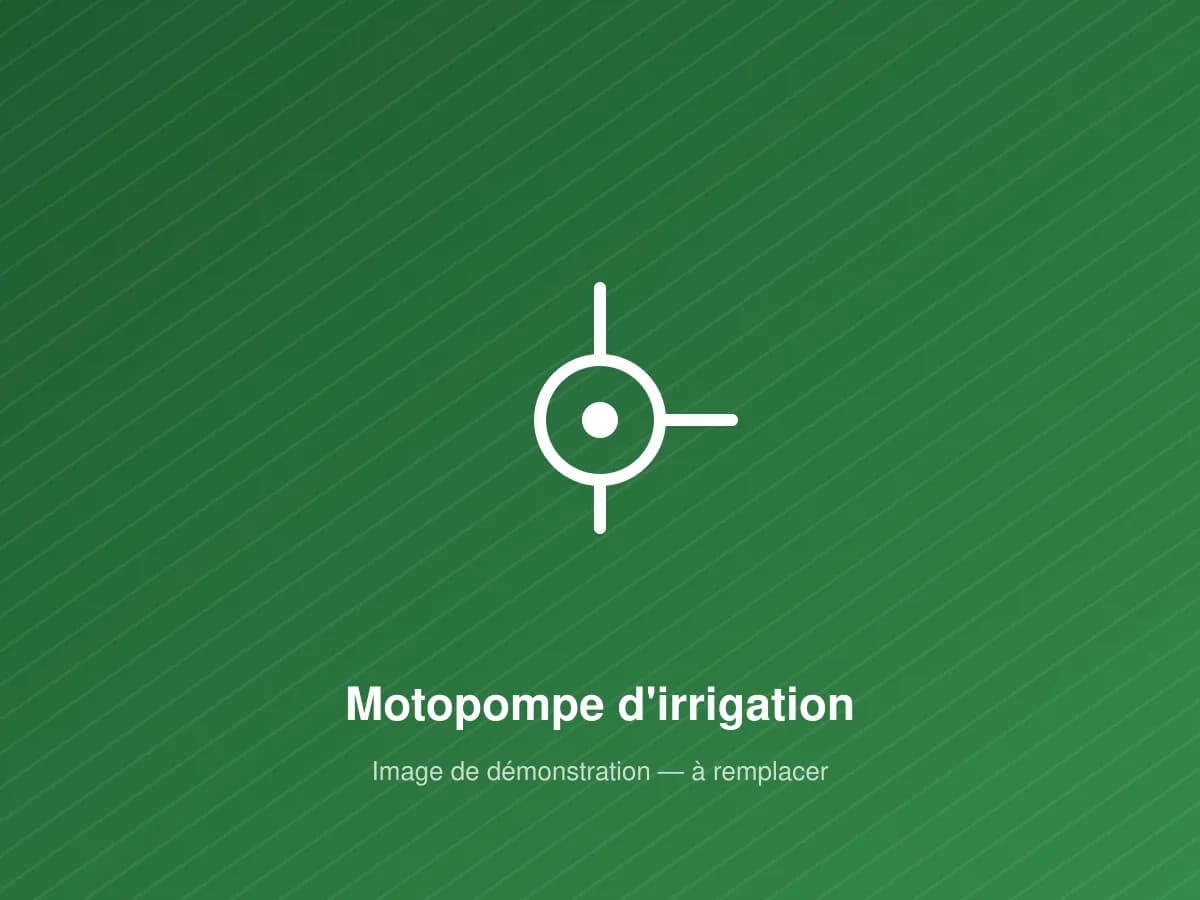Motopompe d'irrigation