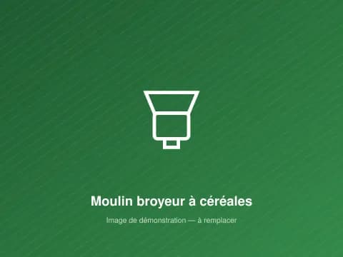 Moulin broyeur à céréales